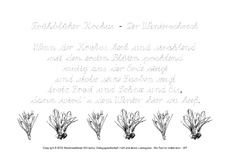 Frühblüher Krokus-LA.pdf